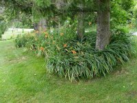 August 30 2009 032.jpg