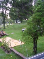 August 30 2009 064.jpg