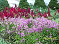 Side Garden 2.jpg