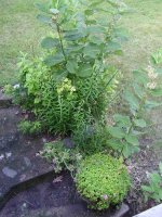 August 30 2009 039.jpg