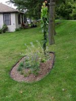 August 30 2009 083.jpg