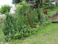 August 30 2009 085.jpg
