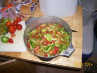 salsa20092.jpg