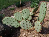 August 30 2009 109.jpg
