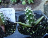 August 30 2009 068.jpg