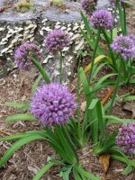 August 30 2009 095.jpg