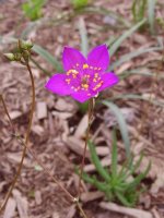 August 30 2009 090.jpg