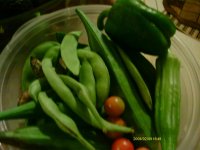 My garden071.jpg