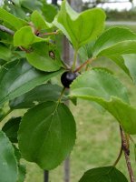 August 30 2009 097.jpg