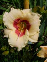 July 10 2009 084.jpg