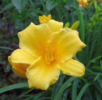 July 10 2009 016.jpg