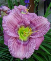 August 30 2009 003.jpg