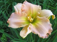 August 30 2009 004.jpg