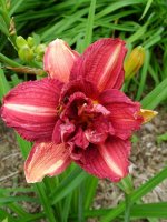 August 30 2009 010.jpg
