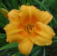 August 30 2009 018.jpg