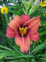 August 30 2009 019.jpg
