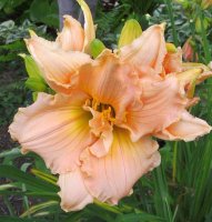 August 30 2009 021.jpg