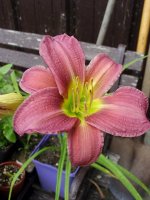 August 30 2009 053.jpg