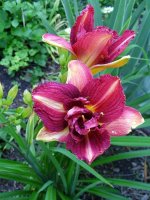 August 30 2009 001.jpg