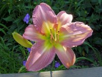 August 30 2009 015.jpg