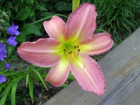 August 30 2009 020.jpg