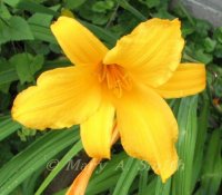 IMG_3968.jpg