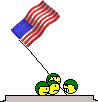 usa.gif