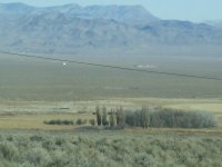 mostly deer 021.jpg