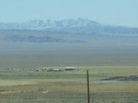mostly deer 022.jpg