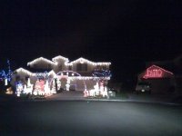 for those of you who are just not into christmas this year.jpg