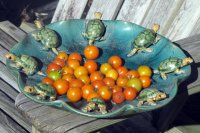 11-29-09tomatoes.jpg