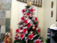 tn_Christmas 2009153.JPG