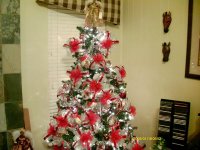 tn_Christmas 2009 020.JPG