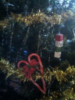 decorations from garden buddies.JPG
