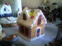 gingerbread house in village.JPG