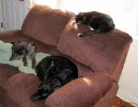 3snoozing.jpg
