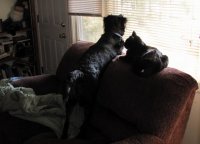 IzzyLoveSeat.jpg