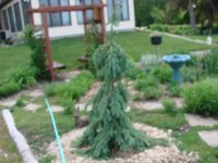 DSC00003_2.JPG