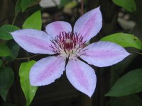 clem 002 (2)  EM.jpg