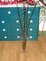 pusstwullow (2)  EM.jpg