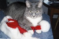 Christmas Socks (2)  EM.jpg