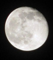 cayman 9-08 248 (2) print.jpg