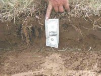 full depth furrow.jpg