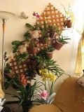 wall decor lettus.jpg