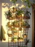 wall decor lettus 2.jpg
