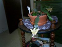 Picture_0218.jpg