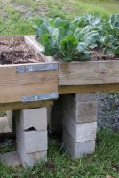 Raised bed2.jpg