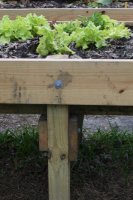 raised bed 4.jpg