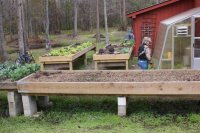 Raised beds 1.jpg