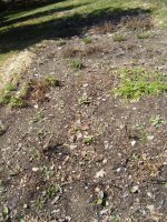 all pictures 021.jpg
